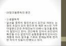 인체와 건강,인체와 영양,인체와 운동,인체와 스트레스,인체와 수면,인체와 알코올,인체와 흡연 53페이지