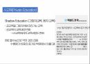 교육사회 조별발표 사교육과 교육 불평등 4페이지