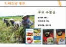 베트남 개관,베트남 역사,베트남 정치변동,베트남 정치가,베트남 정치 체제,전당대회,서사군도란,서사군도 분쟁 9페이지