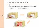 성과증진을위한학습개념의응용,고전적조건화와조작적조건화,강화의상황요인,긍정적강화,부적적강화,사회적학습이론 24페이지