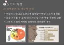 웰빙시대,생활건강,노인 건강과 운동,노인의 개념,노인 운동의 중요성,노인 건강과 IT,노인 인구,노인운동의 필요성 8페이지