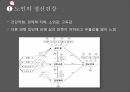 웰빙시대,생활건강,노인 건강과 운동,노인의 개념,노인 운동의 중요성,노인 건강과 IT,노인 인구,노인운동의 필요성 14페이지