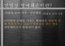 인터넷과 명예훼손,민법상 명예훼손,형법상 명예훼손,불법행위,불법행위의 구제방법,공동불법행위 10페이지