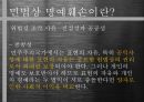 인터넷과 명예훼손,민법상 명예훼손,형법상 명예훼손,불법행위,불법행위의 구제방법,공동불법행위 13페이지