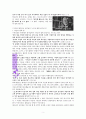 임마누엘의 함께함에 관한 성경적 고찰(마1:23을 근거로) 3페이지