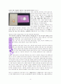 임마누엘의 함께함에 관한 성경적 고찰(마1:23을 근거로) 13페이지