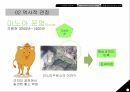 그리스 로마 신화에대하여 그리스 로마신화 신화를알아야하는이유 신화의정의와특징 25페이지