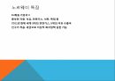 노르웨이의 의료복지 노르웨이의 간호에 대하여 3페이지
