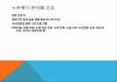 노르웨이의 의료복지 노르웨이의 간호에 대하여 14페이지