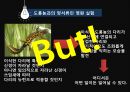 뇌로부터의자유  5페이지