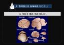 뇌로부터의자유  8페이지
