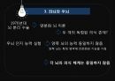 뇌로부터의자유  10페이지
