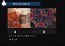 뇌로부터의자유  13페이지
