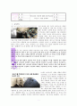 하나님의 비전’에 대한 성경적고찰(히11:8-10을 근거로) 1페이지