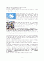 하나님의 비전’에 대한 성경적고찰(히11:8-10을 근거로) 11페이지