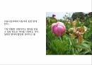 사상가들 분배의정의 복지에대하여 복지 버핏세이슈 최소국가 경제적불평등 마이클조 21페이지