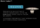 스토킹 스토킹이란 스토커분석 스토킹사건소재및분석 스토킹국내사건소개및분석 스토 9페이지