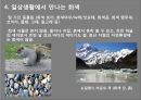 색체심리 발표자료 (회색) 8페이지