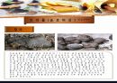 세계 음식문화 3대 진미 24페이지