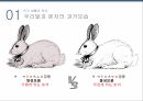 우리말과 문자,한글의 변천사,외국어와 한글,모음과 자음,합성어와 파생어,된소리와 거센소리,음절과 운율,조사와 어미 6페이지