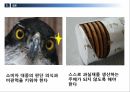 이미지의의미와문제점,이미지와현대사회,이미지란 39페이지