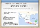 초국적사회운동,초국적사회운동의특징,초국적자회운동의의의및한계,세계화,세계사회포럼의의의 22페이지