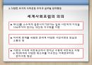 초국적사회운동,초국적사회운동의특징,초국적자회운동의의의및한계,세계화,세계사회포럼의의의 33페이지