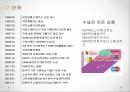 KB카드분석보고서,자금의조달과운용,KB카드관련시사사항,성공적인취업을위한Tips,SWOT분석,발전전략제시 4페이지