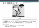 공학윤리,공학,공학윤리교육의필요성,중금속이란,중금속중독실태,이타이티아티병,미나마타병 9페이지