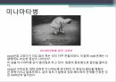 공학윤리,공학,공학윤리교육의필요성,중금속이란,중금속중독실태,이타이티아티병,미나마타병 12페이지