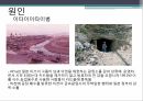 공학윤리,공학,공학윤리교육의필요성,중금속이란,중금속중독실태,이타이티아티병,미나마타병 13페이지