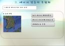 동아시아에너지협력,도전받는에너지체계와동아시아,에너지갈등의복합화,에너지안보와동아시아에너지협력 11페이지