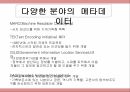 메타데이터의 개념,메타데이터의 역사,메타데이터의 필요성,메타데이터의 분류 11페이지