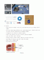 PEG(Percutaneous Endoscopic Gastrostomy; 경피적 내시경하 위루술) 4페이지