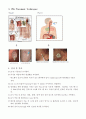 PEG(Percutaneous Endoscopic Gastrostomy; 경피적 내시경하 위루술) 5페이지
