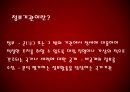 정보기관에 대해 4페이지