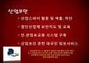 정보기관에 대해 13페이지