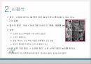 a+++ 수술간호 ppt 신절석술 신장 신결석 신절석술 관련논문 5페이지