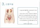 a+++ 수술간호 ppt 신절석술 신장 신결석 신절석술 관련논문 9페이지