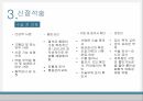 a+++ 수술간호 ppt 신절석술 신장 신결석 신절석술 관련논문 11페이지