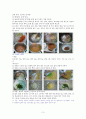 서양음식의 Dinner,Stock, Soup 의 종류별 특징과 조리과정 3페이지