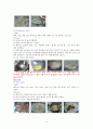 서양음식의 Dinner,Stock, Soup 의 종류별 특징과 조리과정 4페이지