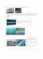 상수도견학레포트 6페이지