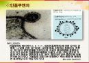 학교보건간호 실습 전염병과제 14페이지