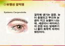 학교보건간호 실습 전염병과제 16페이지