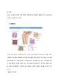 조직 종류와 각각의 특성 3페이지
