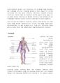 조직 종류와 각각의 특성 7페이지