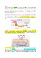 웰니스와 삶의 질 - 중간고사 68페이지