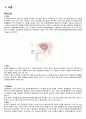 전립샘암 간호 Study 3페이지