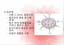 순환계통,혈액,혈액의기능,혈액세포,혈관,대동맥,태아순환 44페이지